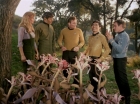 Filename=ariane179254_StarTrek_1x24_ThisSideOfParadise_1499.jpg
Filesize=199KiB
Dimensions=1440x1080
Date added=Sep 12, 2015 ariane179254_StarTrek_1x24_ThisSideOfParadise_1499.jpg