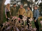 ariane179254_StarTrek_1x24_ThisSideOfParadise_1501.jpg