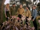 Filename=ariane179254_StarTrek_1x24_ThisSideOfParadise_1502.jpg
Filesize=201KiB
Dimensions=1440x1080
Date added=Sep 12, 2015 ariane179254_StarTrek_1x24_ThisSideOfParadise_1502.jpg