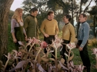 Filename=ariane179254_StarTrek_1x24_ThisSideOfParadise_1503.jpg
Filesize=203KiB
Dimensions=1440x1080
Date added=Sep 12, 2015 ariane179254_StarTrek_1x24_ThisSideOfParadise_1503.jpg