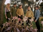 Filename=ariane179254_StarTrek_1x24_ThisSideOfParadise_1506.jpg
Filesize=204KiB
Dimensions=1440x1080
Date added=Sep 12, 2015 ariane179254_StarTrek_1x24_ThisSideOfParadise_1506.jpg