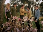 Filename=ariane179254_StarTrek_1x24_ThisSideOfParadise_1509.jpg
Filesize=199KiB
Dimensions=1440x1080
Date added=Sep 12, 2015 ariane179254_StarTrek_1x24_ThisSideOfParadise_1509.jpg