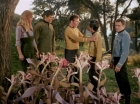 Filename=ariane179254_StarTrek_1x24_ThisSideOfParadise_1510.jpg
Filesize=200KiB
Dimensions=1440x1080
Date added=Sep 12, 2015 ariane179254_StarTrek_1x24_ThisSideOfParadise_1510.jpg