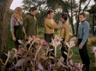 Filename=ariane179254_StarTrek_1x24_ThisSideOfParadise_1512.jpg
Filesize=199KiB
Dimensions=1440x1080
Date added=Sep 12, 2015 ariane179254_StarTrek_1x24_ThisSideOfParadise_1512.jpg