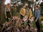 ariane179254_StarTrek_1x24_ThisSideOfParadise_1514.jpg