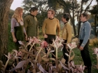 ariane179254_StarTrek_1x24_ThisSideOfParadise_1515.jpg