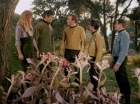 ariane179254_StarTrek_1x24_ThisSideOfParadise_1516.jpg