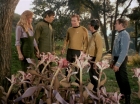 Filename=ariane179254_StarTrek_1x24_ThisSideOfParadise_1517.jpg
Filesize=203KiB
Dimensions=1440x1080
Date added=Sep 12, 2015 ariane179254_StarTrek_1x24_ThisSideOfParadise_1517.jpg