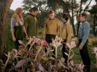 ariane179254_StarTrek_1x24_ThisSideOfParadise_1518.jpg