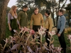 Filename=ariane179254_StarTrek_1x24_ThisSideOfParadise_1519.jpg
Filesize=202KiB
Dimensions=1440x1080
Date added=Sep 12, 2015 ariane179254_StarTrek_1x24_ThisSideOfParadise_1519.jpg
