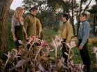 Filename=ariane179254_StarTrek_1x24_ThisSideOfParadise_1524.jpg
Filesize=199KiB
Dimensions=1440x1080
Date added=Sep 12, 2015 ariane179254_StarTrek_1x24_ThisSideOfParadise_1524.jpg