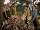 Filename=ariane179254_StarTrek_1x24_ThisSideOfParadise_1525.jpg
Filesize=197KiB
Dimensions=1440x1080
Date added=Sep 12, 2015 ariane179254_StarTrek_1x24_ThisSideOfParadise_1525.jpg