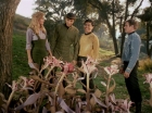 ariane179254_StarTrek_1x24_ThisSideOfParadise_1530.jpg