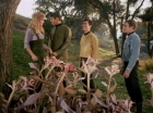ariane179254_StarTrek_1x24_ThisSideOfParadise_1531.jpg