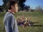 Filename=ariane179254_StarTrek_1x24_ThisSideOfParadise_1541.jpg
Filesize=188KiB
Dimensions=1440x1080
Date added=Sep 12, 2015 ariane179254_StarTrek_1x24_ThisSideOfParadise_1541.jpg