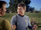 Filename=ariane179254_StarTrek_1x24_ThisSideOfParadise_1545.jpg
Filesize=155KiB
Dimensions=1440x1080
Date added=Sep 12, 2015 ariane179254_StarTrek_1x24_ThisSideOfParadise_1545.jpg