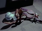 ariane179254_StarTrek_1x24_ThisSideOfParadise_1634.jpg