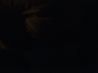 Filename=ariane179254_StarTrek_1x24_ThisSideOfParadise_2160.jpg
Filesize=29KiB
Dimensions=1440x1080
Date added=Sep 12, 2015 ariane179254_StarTrek_1x24_ThisSideOfParadise_2160.jpg