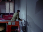 ariane179254_StarTrek_1x24_ThisSideOfParadise_2444.jpg