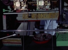 ariane179254_StarTrek_1x24_ThisSideOfParadise_2596.jpg