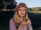 Filename=ariane179254_StarTrek_1x24_ThisSideOfParadise_2616.jpg
Filesize=122KiB
Dimensions=1440x1080
Date added=Sep 12, 2015 ariane179254_StarTrek_1x24_ThisSideOfParadise_2616.jpg