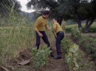 Filename=ariane179254_StarTrek_1x24_ThisSideOfParadise_2937.jpg
Filesize=242KiB
Dimensions=1440x1080
Date added=Sep 12, 2015 ariane179254_StarTrek_1x24_ThisSideOfParadise_2937.jpg