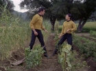 Filename=ariane179254_StarTrek_1x24_ThisSideOfParadise_2939.jpg
Filesize=225KiB
Dimensions=1440x1080
Date added=Sep 12, 2015 ariane179254_StarTrek_1x24_ThisSideOfParadise_2939.jpg