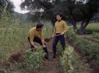Filename=ariane179254_StarTrek_1x24_ThisSideOfParadise_2945.jpg
Filesize=231KiB
Dimensions=1440x1080
Date added=Sep 12, 2015 ariane179254_StarTrek_1x24_ThisSideOfParadise_2945.jpg