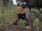 Filename=ariane179254_StarTrek_1x24_ThisSideOfParadise_2948.jpg
Filesize=217KiB
Dimensions=1440x1080
Date added=Sep 12, 2015 ariane179254_StarTrek_1x24_ThisSideOfParadise_2948.jpg