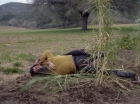 Filename=ariane179254_StarTrek_1x24_ThisSideOfParadise_2950.jpg
Filesize=210KiB
Dimensions=1440x1080
Date added=Sep 12, 2015 ariane179254_StarTrek_1x24_ThisSideOfParadise_2950.jpg