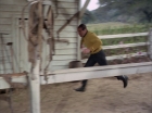 Filename=ariane179254_StarTrek_1x24_ThisSideOfParadise_2964.jpg
Filesize=136KiB
Dimensions=1440x1080
Date added=Sep 12, 2015 ariane179254_StarTrek_1x24_ThisSideOfParadise_2964.jpg