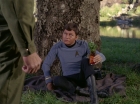 Filename=ariane179254_StarTrek_1x24_ThisSideOfParadise_2998.jpg
Filesize=171KiB
Dimensions=1440x1080
Date added=Sep 12, 2015 ariane179254_StarTrek_1x24_ThisSideOfParadise_2998.jpg