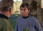 Filename=ariane179254_StarTrek_1x24_ThisSideOfParadise_3005.jpg
Filesize=143KiB
Dimensions=1440x1080
Date added=Sep 12, 2015 ariane179254_StarTrek_1x24_ThisSideOfParadise_3005.jpg