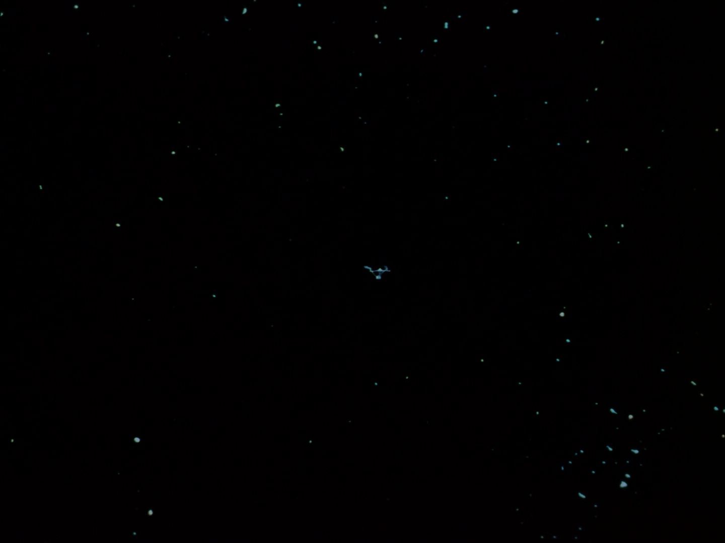 ariane179254_StarTrek_1x25_TheDevilInTheDark_3241.jpg