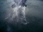 Filename=ariane179254_StarTrek_1x25_TheDevilInTheDark_0572.jpg
Filesize=125KiB
Dimensions=1440x1080
Date added=Sep 12, 2015 ariane179254_StarTrek_1x25_TheDevilInTheDark_0572.jpg