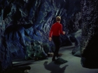 Filename=ariane179254_StarTrek_1x25_TheDevilInTheDark_1132.jpg
Filesize=137KiB
Dimensions=1440x1080
Date added=Sep 12, 2015 ariane179254_StarTrek_1x25_TheDevilInTheDark_1132.jpg