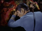 Filename=ariane179254_StarTrek_1x25_TheDevilInTheDark_2600.jpg
Filesize=124KiB
Dimensions=1440x1080
Date added=Sep 12, 2015 ariane179254_StarTrek_1x25_TheDevilInTheDark_2600.jpg