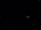 Filename=ariane179254_StarTrek_1x25-The_DevilInTheDark-NewEffects_0497.jpg
Filesize=46KiB
Dimensions=1440x1080
Date added=Jan 17, 2012 ariane179254_StarTrek_1x25-The_DevilInTheDark-NewEffects_0497.jpg