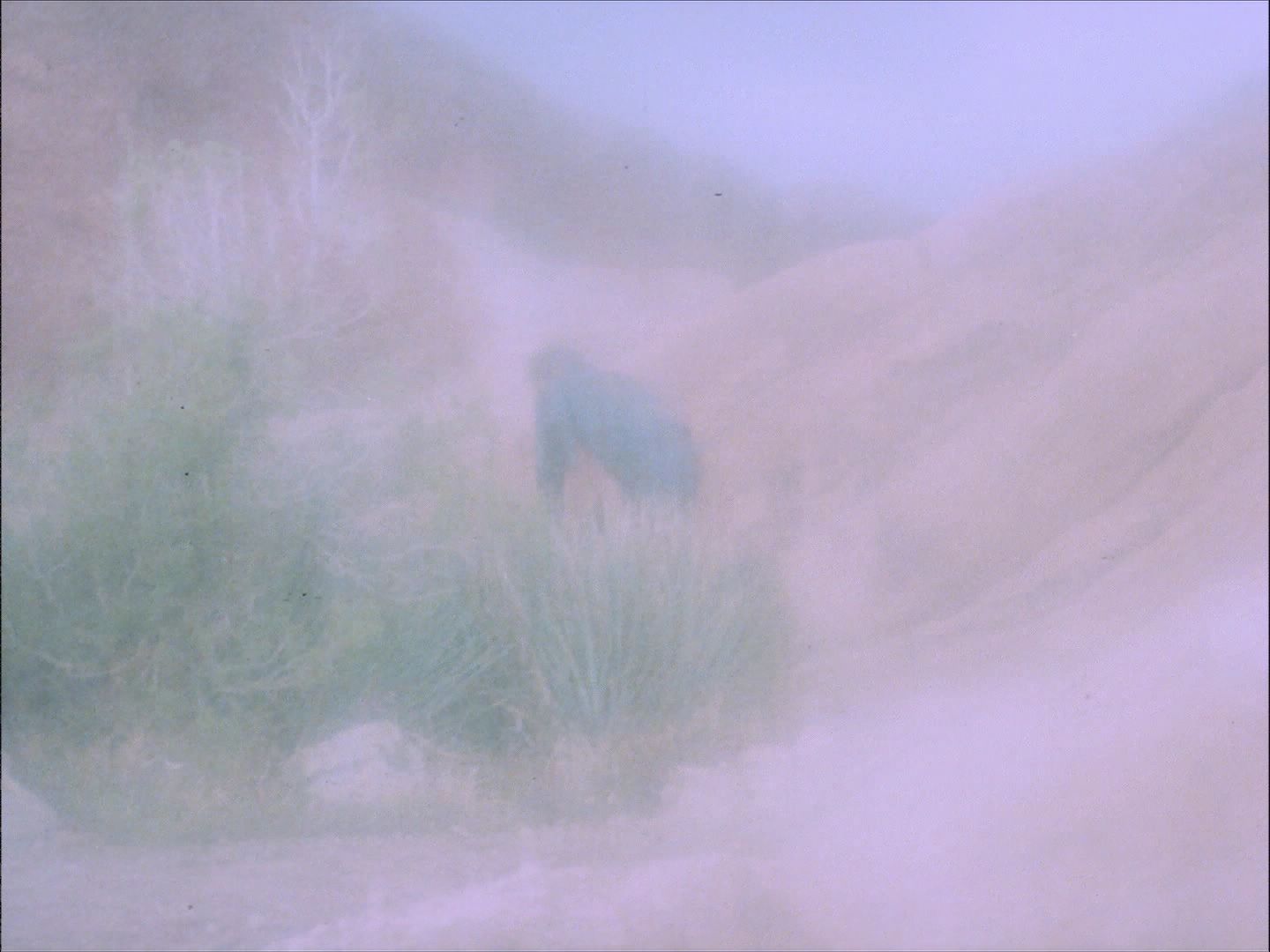 ariane179254_StarTrek_1x27_TheAlternativeFactor_0794.jpg