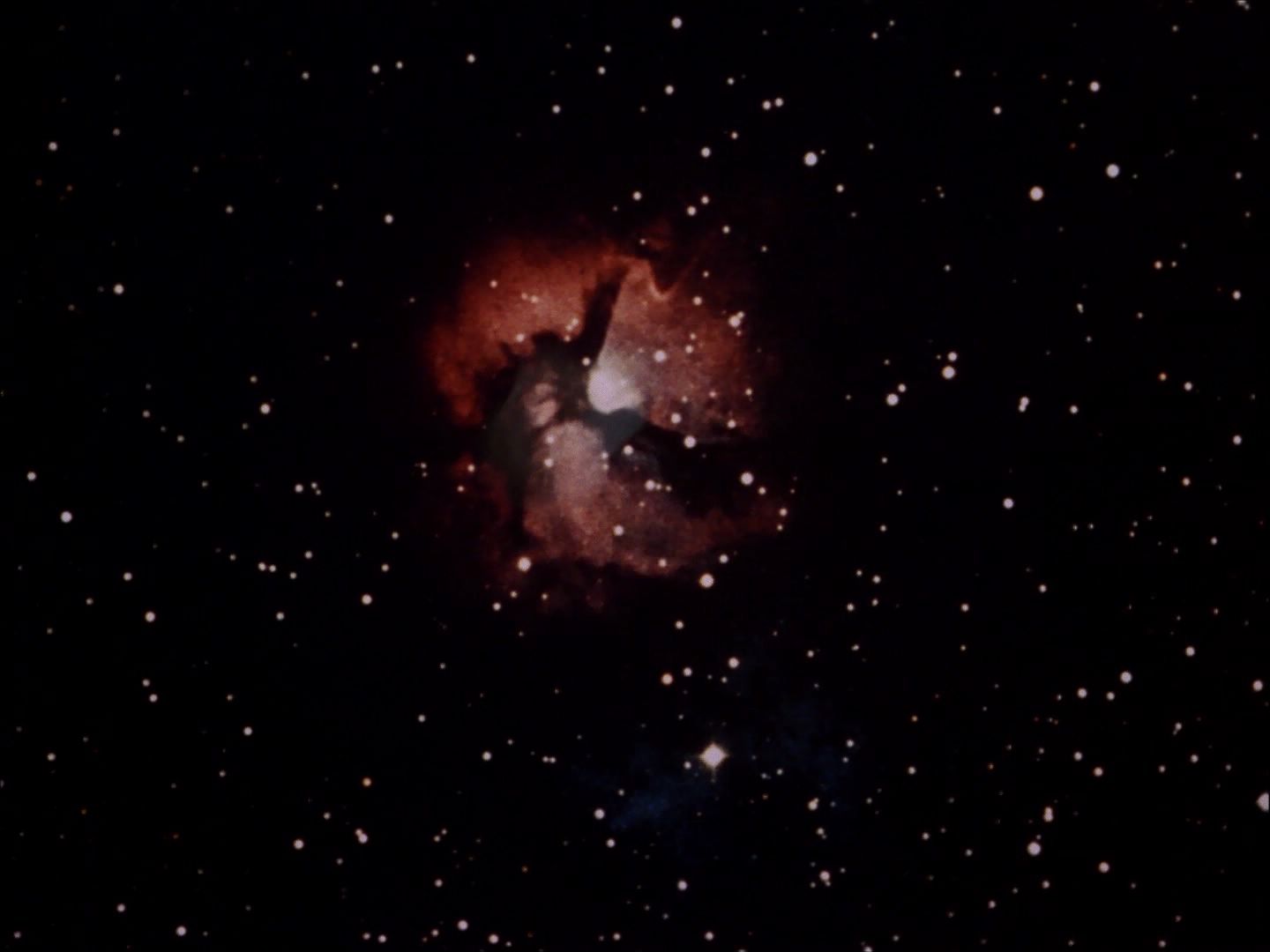 ariane179254_StarTrek_1x27_TheAlternativeFactor_0802.jpg