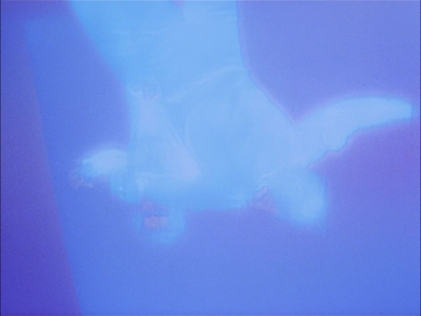 ariane179254_StarTrek_1x27_TheAlternativeFactor_0841.jpg