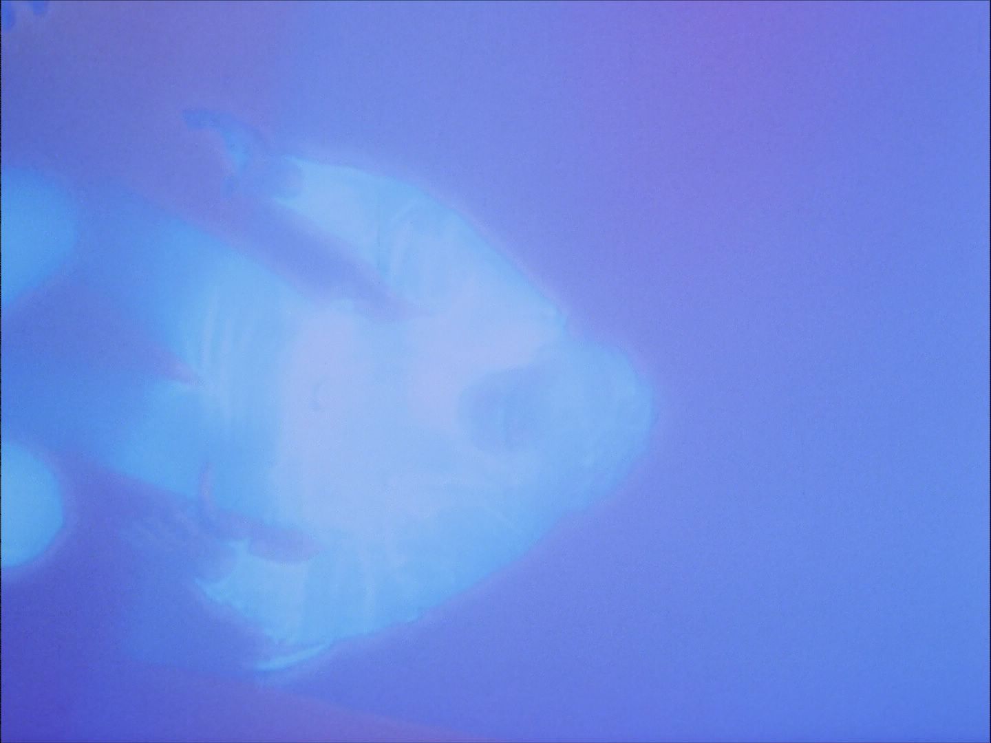 ariane179254_StarTrek_1x27_TheAlternativeFactor_0844.jpg