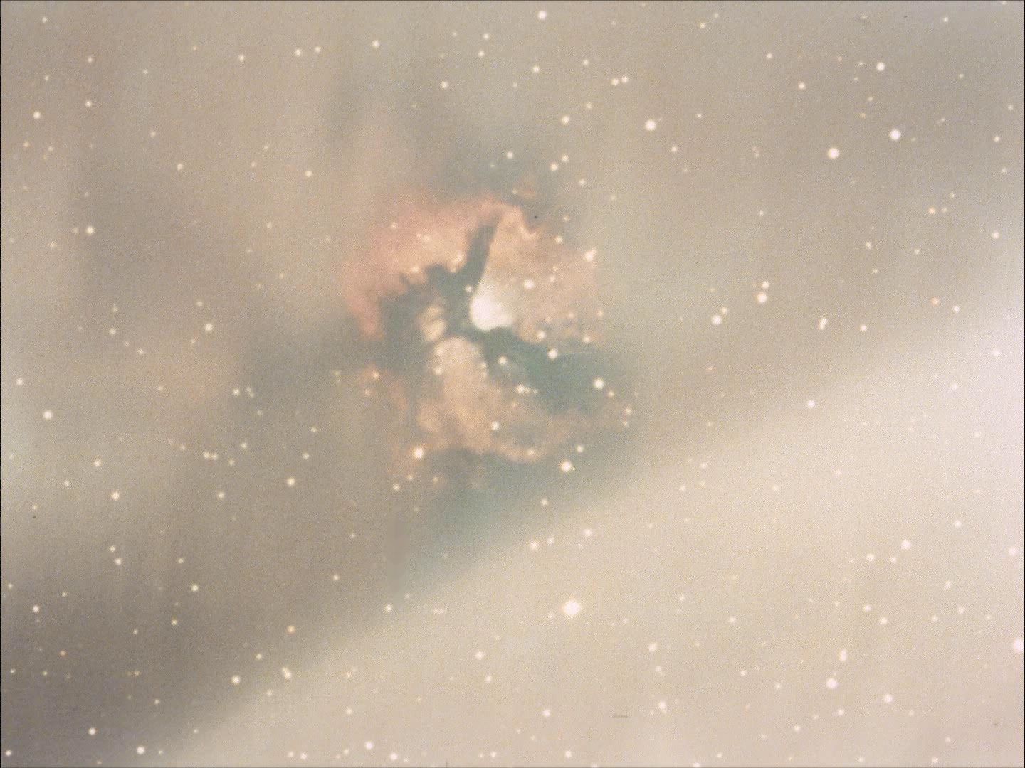 ariane179254_StarTrek_1x27_TheAlternativeFactor_1715.jpg
