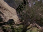 Filename=ariane179254_StarTrek_1x27_TheAlternativeFactor_0371.jpg
Filesize=159KiB
Dimensions=1440x1080
Date added=Sep 13, 2015 ariane179254_StarTrek_1x27_TheAlternativeFactor_0371.jpg