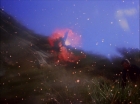 ariane179254_StarTrek_1x27_TheAlternativeFactor_0761.jpg