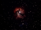 Filename=ariane179254_StarTrek_1x27_TheAlternativeFactor_0802.jpg
Filesize=47KiB
Dimensions=1440x1080
Date added=Sep 13, 2015 ariane179254_StarTrek_1x27_TheAlternativeFactor_0802.jpg