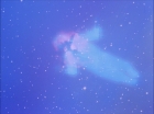 Filename=ariane179254_StarTrek_1x27_TheAlternativeFactor_0806.jpg
Filesize=83KiB
Dimensions=1440x1080
Date added=Sep 13, 2015 ariane179254_StarTrek_1x27_TheAlternativeFactor_0806.jpg
