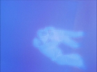 Filename=ariane179254_StarTrek_1x27_TheAlternativeFactor_0828.jpg
Filesize=70KiB
Dimensions=1440x1080
Date added=Sep 13, 2015 ariane179254_StarTrek_1x27_TheAlternativeFactor_0828.jpg
