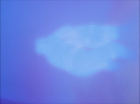 Filename=ariane179254_StarTrek_1x27_TheAlternativeFactor_0836.jpg
Filesize=65KiB
Dimensions=1440x1080
Date added=Sep 13, 2015 ariane179254_StarTrek_1x27_TheAlternativeFactor_0836.jpg