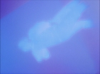 Filename=ariane179254_StarTrek_1x27_TheAlternativeFactor_0838.jpg
Filesize=69KiB
Dimensions=1440x1080
Date added=Sep 13, 2015 ariane179254_StarTrek_1x27_TheAlternativeFactor_0838.jpg